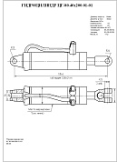 Гидроцилиндр ЦГ-80.40х200.01-01